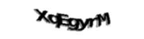Security check image, please type the characters shown